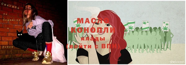 мет Инсар