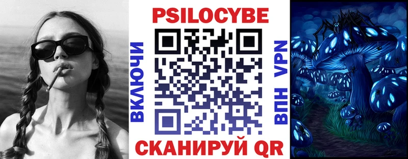 Псилоцибиновые грибы Psilocybine cubensis  OMG ONION  Сегежа  купить закладку 