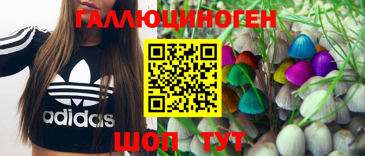 Галлюциногенные грибы Psilocybe  Галлюциногенные грибы Psilocybine cubensis  где купить наркотик  Вход с VPN  Сегежа 